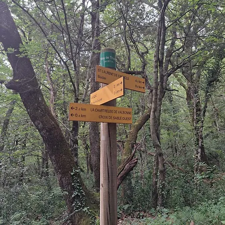 Le Chant Des Tongs - La Canopee *