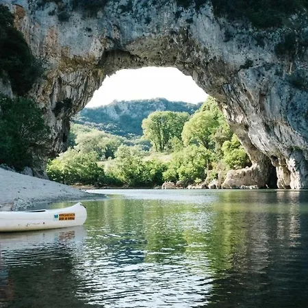 Le Chant Des Tongs - La Canopee *