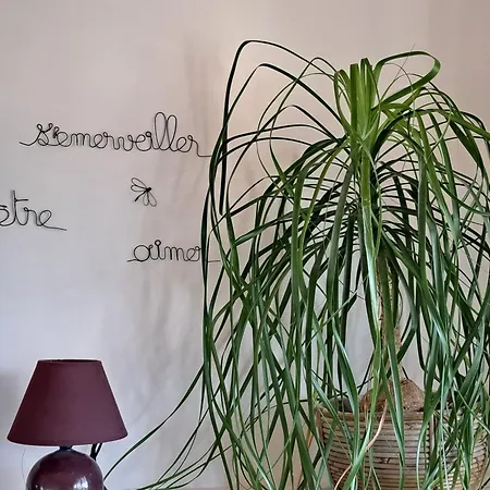 Nyaraló Le Chant Des Tongs - La Canopee *