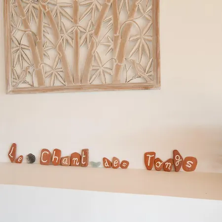 Le Chant Des Tongs - La Canopee