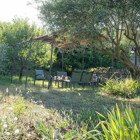 Le Chant Des Tongs - La Canopee Salazac