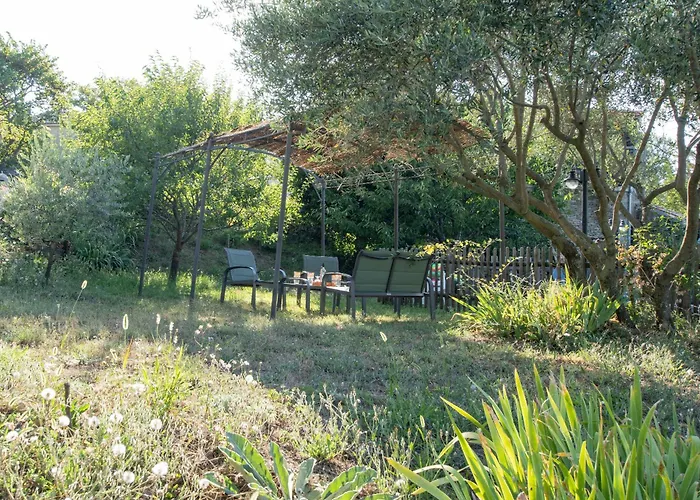 Le Chant Des Tongs - La Canopee Salazac